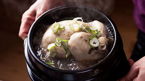 삼계탕 2만 원 시대…생닭 할인에 '오픈런'