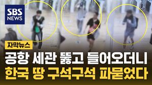 [자막뉴스] 공항 세관 뚫고 들어오더니&hellip;한국 땅 구석구석 파묻었다
