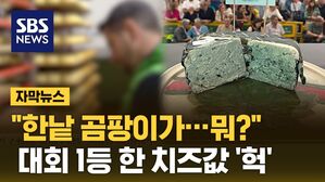 [자막뉴스] "한낱 곰팡이가&hellip;뭐?"  대회 1등 한 치즈값 '헉'