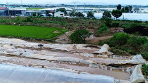 16일부터 이어진 집중호우로 축구장 3만 4천 개 농작물 침수