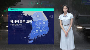 [날씨] 남부 강한 비…오늘 밤사이 '최대 고비'