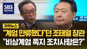 [자막뉴스] 특검, 조태열 전 장관 소환&hellip;윤 기소도 '검토'