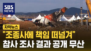 자막뉴스_참사 조사 결과 공개 무산 조종사에 책임 떠넘겨