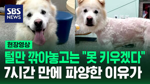 [영상] "사람이야?" "똑같이 머리 밀어야" 입양된 지 7시간 만에 처참한 모습으로&hellip;