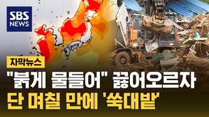 [자막뉴스] "붉게 물들어" 끓어오르자&hellip;단 며칠 만에 '쑥대밭'