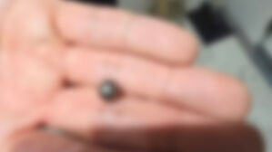 아버지 사제총기에 살해된 아들 부검&hellip;"총상으로 장기 손상"