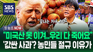 "값싼 수입산 먹자!" "농업 한 방에 싹 무너져" 트럼프 '시장 개방' 압박에&hellip;'관세 담판' 직전 농민들 목소리 들어보니 (트럼프 NOW)