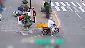 주인 눈앞에서 대놓고 훔쳤다…추격전 끝 잡고 봤더니?