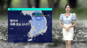 [날씨] '대서' 절기답게 찜통더위…강릉 36도·서울 32도