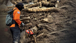 산청 실종자 2명 숨진 채 발견…'더딘 복구'에 주민 고통
