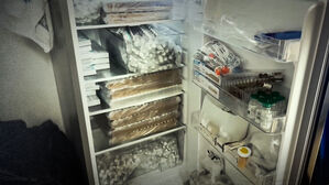 '몸짱약' 12억 원어치 불법 제조…잡고 보니 '아들-엄마'