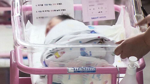 출생아 12개월째↑…상반기 12만 6천 명, 증가율 역대 최고