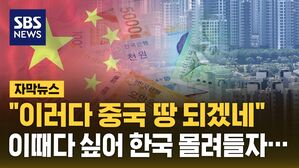 [자막뉴스] "이러다 중국 땅 되겠네"&hellip;이때다 싶어 한국 몰려들자