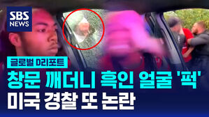[글로벌D리포트] 창문 깨더니 흑인 운전자 얼굴 가격&hellip;미 경찰 체포 영상 논란