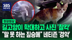 [현장영상] 안전 고깔에 가두고 폭행에 방화까지&hellip;길고양이 살해한 20대 논란