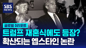 [글로벌D리포트] 확산되는 엡스타인 논란&hellip;의회도 조기 휴회