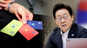 "즉각 시정" 대통령이 직접 질타…'소비쿠폰' 어땠길래?
