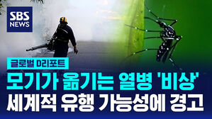 [글로벌D리포트] 치쿤구니야 열병 2천 6백여 명 감염&hellip;WHO 세계적 유행 가능성 '경고'