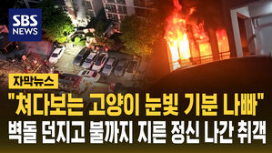 [자막뉴스] 술 취해 벽돌 던지다 "고양이 눈빛 기분 나쁘다"며 방화까지