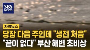 [자막뉴스] 할 때마다 한 움쿰씩&hellip;"끝이 없다" 부산 해변 초비상