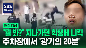[현장영상] "뭘 봐?" 지나가던 학생에 니킥, 주차장에서 '광기의 20분'