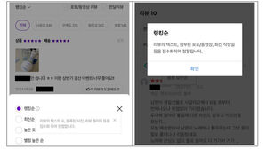 "안 좋단 글은 못 찾겠네"&hellip;온라인몰 36%, 자의적 리뷰 정렬