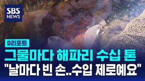 [D리포트] 그물마다 해파리 수십 톤&hellip;"날마다 빈 손"