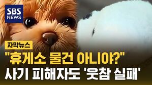 [자막뉴스] "휴게소 물건 아니야?" 사기 피해자도 '웃참 실패'