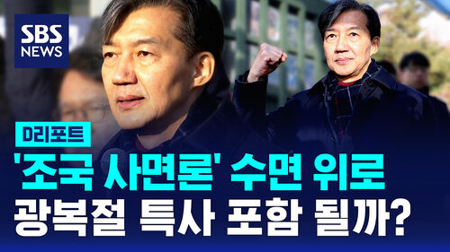 [D리포트] 조국 사면론 솔솔…광복절 특사 포함될까