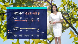 [날씨] 서울 닷새째 폭염경보…강릉 밤 30도 '초열대야'