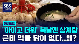[D리포트] 폭염에 폐사 늘면서&hellip;중복 앞두고 삼계탕값 '들썩'