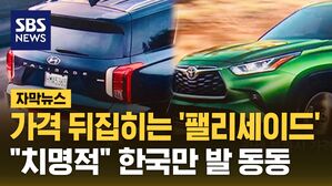 [자막뉴스] 가격 뒤집히는 '팰리세이드'&hellip;"치명적" 한국만 발 동동