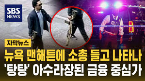 [자막뉴스] 뉴욕 맨해튼 한복판에서 소총 들고 나타나&hellip;순식간에 아수라장