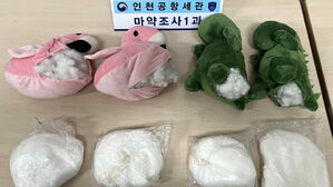 관세청, 상반기 마약 밀수 '역대 최대' 2천680㎏ 적발