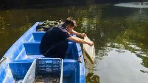 중국 남부에서 치쿤구니야열병 확산…5천 명 확진