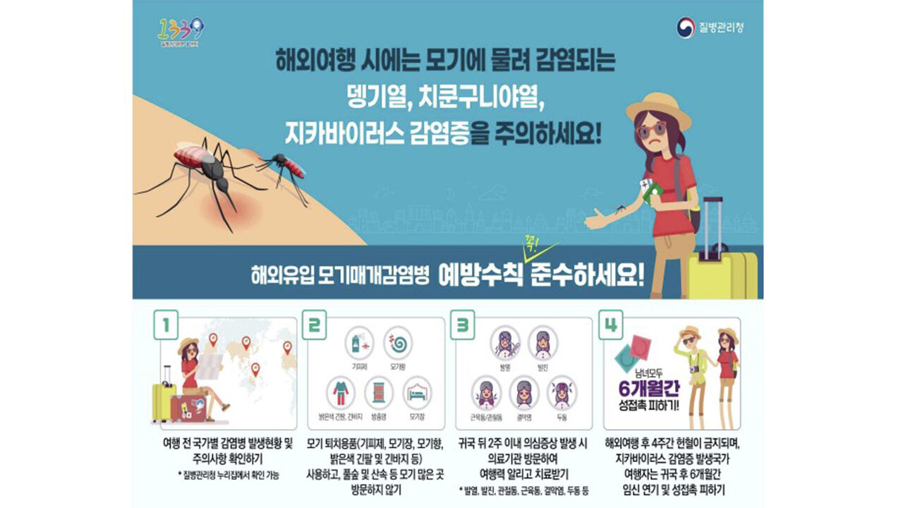 '모기 매개 감염' 치쿤구니야열 14개국서 22만 명…국내 유입 1명