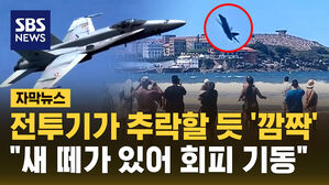 [자막뉴스] 전투기가 해변 사람들을 향해 '깜짝'&hellip;"정상적 회피 기동"