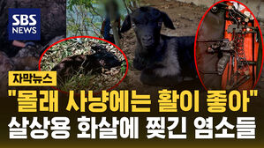 [자막뉴스] "몰래 사냥하기엔 활이 좋아"? 살상용 화살 만들어 염소를&hellip;