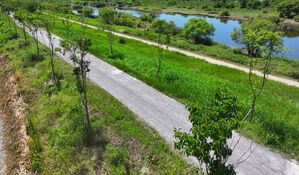 화순군 국가하천에 불법식재, 제방 붕괴우려&hellip;행안부, 강도높은 현장 조사