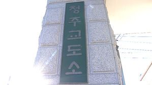 오송참사 현장 감리단장, 청주교도소 수감 중 사망