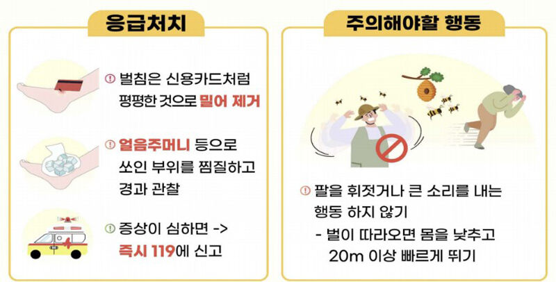 벌쏘임 안전 수칙