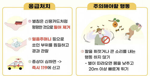 벌쏘임 안전 수칙
