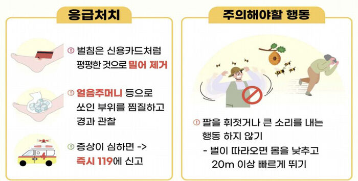 벌쏘임 안전 수칙