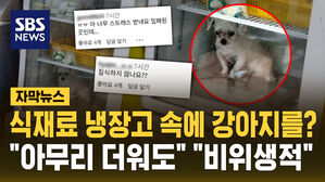 [자막뉴스] 식재료 냉장고 속 강아지? "비위생적" 비판에 '죽음 위험' 경고도
