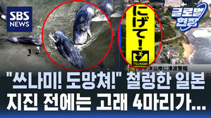 [글로벌현장] "쓰나미다 도망쳐!" 캄차카 강진에 철렁한 일본 열도