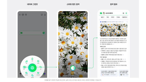식물·와인도 AI가 요약…네이버, 이미지 검색에 'AI 브리핑' 적용