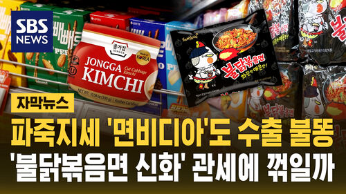 [자막뉴스] 파죽지세 면비디아도 관세 불똥…가격 인상 불가피