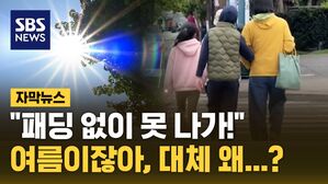 자막뉴스 여름 패딩