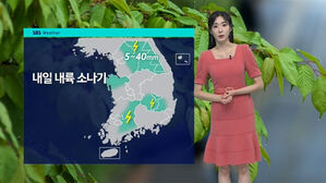 [날씨] 내일 곳곳 소나기…서울 35도 폭염은 계속