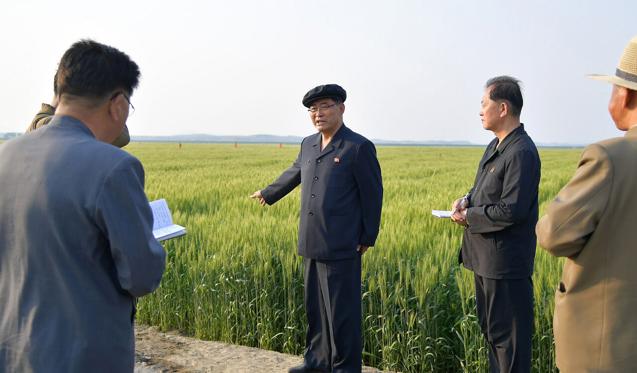 북한 "낟알 허실 막자"…식량 부족에 양곡 시설 현대화